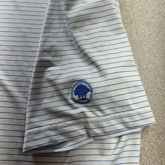 FootJoy Men's Blue Striped Polo Shirt, size L - Picture 2 of 8